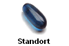 Standort